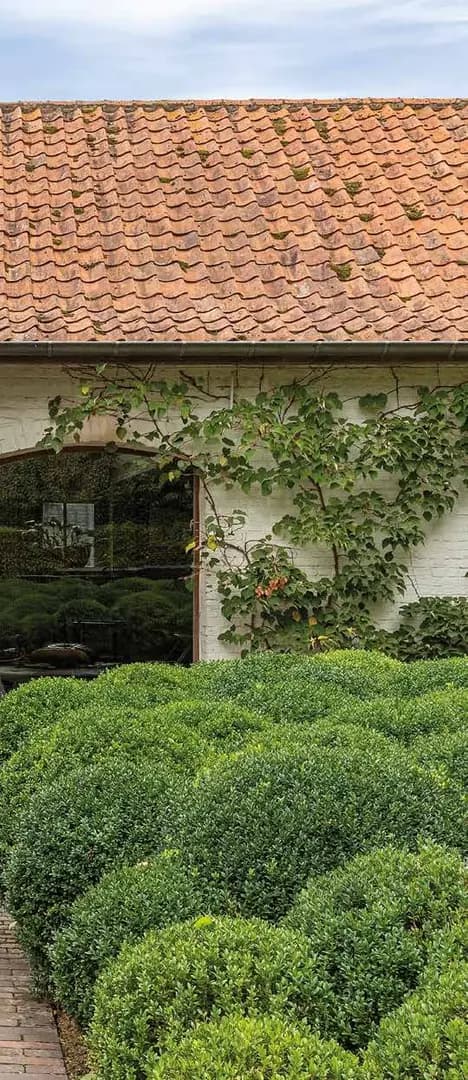 Façade avec bardage Cedral bois